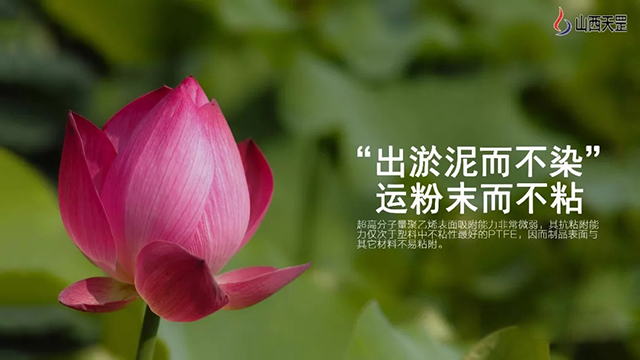 榴莲视频污污污在线观看不一样